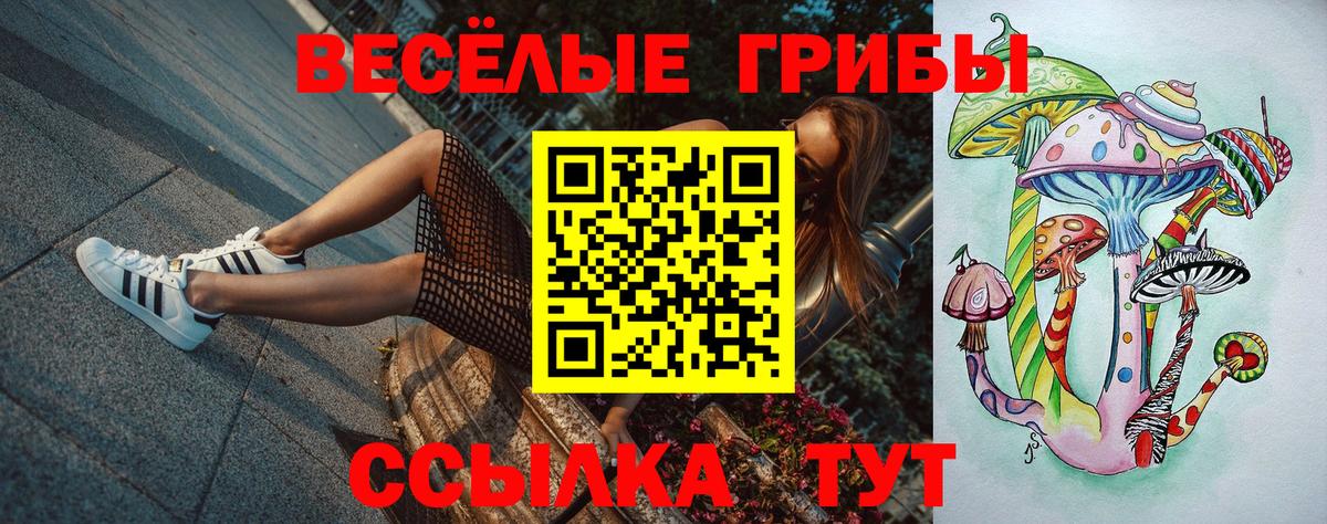 Галлюциногенные грибы Cubensis Каменск-Шахтинский